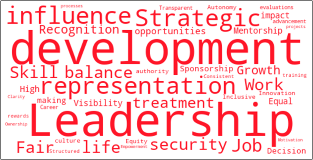 wordcloud: influence, developement, leadership, etc